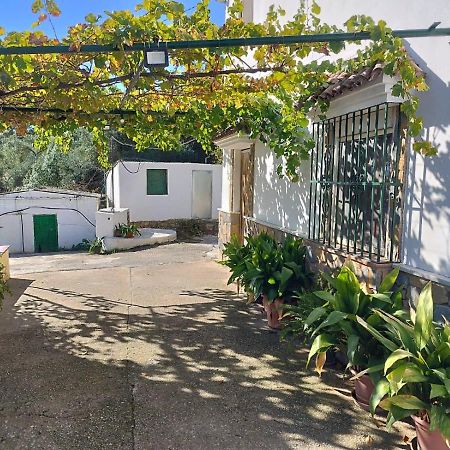 Гостевой дом Casa El Pino Кортес-де-ла-Фронтера Экстерьер фото
