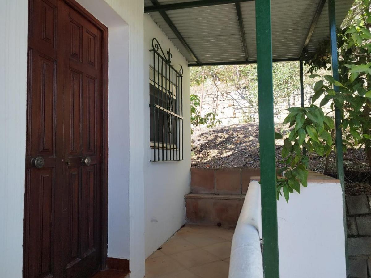 Гостевой дом Casa El Pino Кортес-де-ла-Фронтера Экстерьер фото