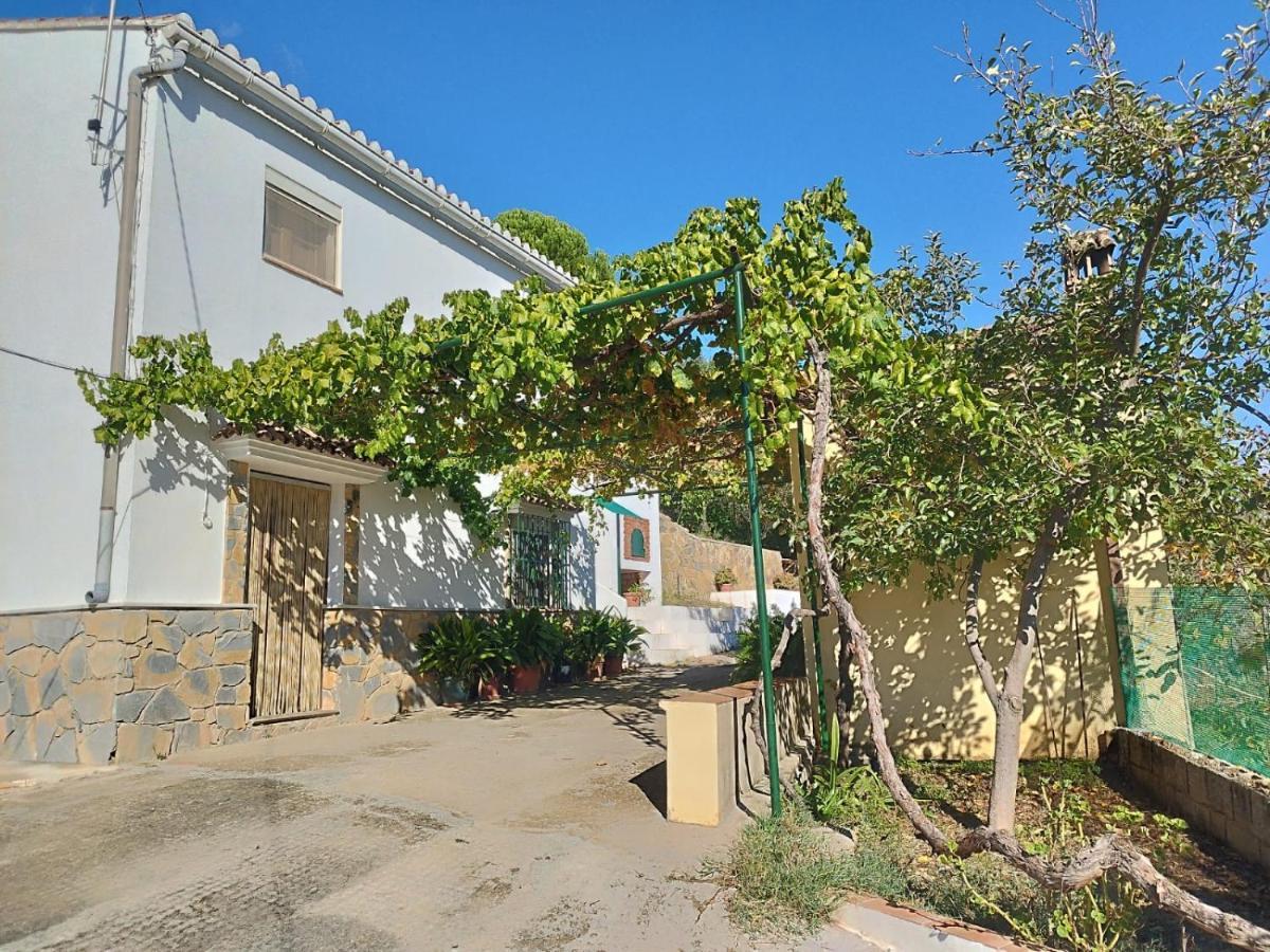 Гостевой дом Casa El Pino Кортес-де-ла-Фронтера Экстерьер фото